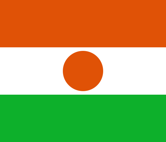 Niger flag